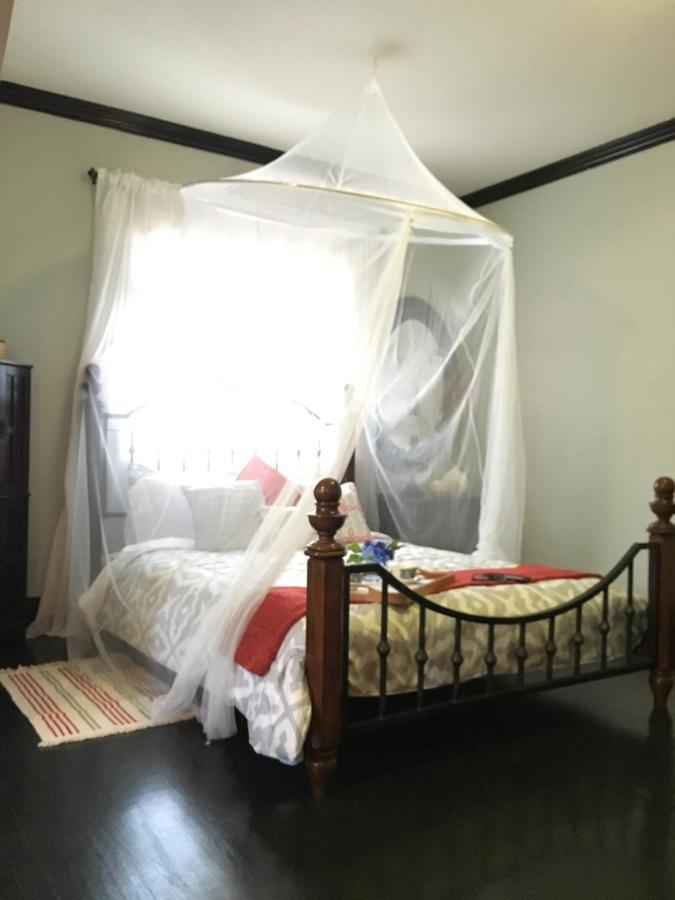 Heavenly Suite In Little Havana Free Parking Miami Extérieur photo