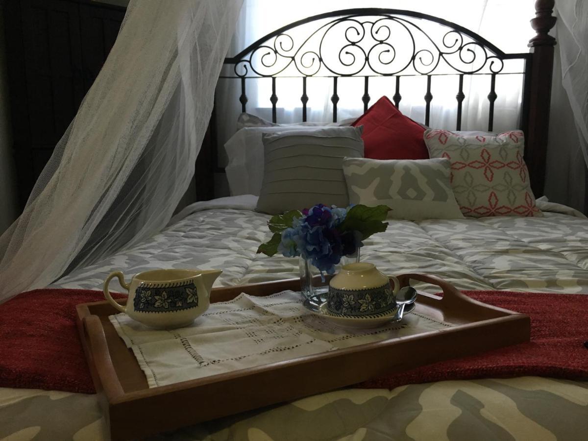 Heavenly Suite In Little Havana Free Parking Miami Extérieur photo