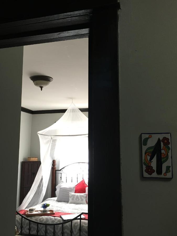 Heavenly Suite In Little Havana Free Parking Miami Extérieur photo